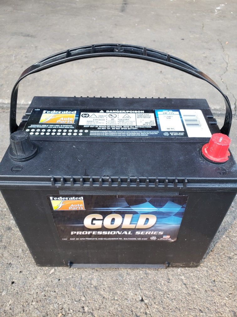 Federated Auto Parts Gold Car Truck Battery Group 24F