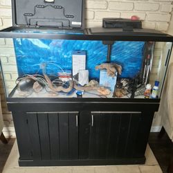 55 Gallons Fish Tank