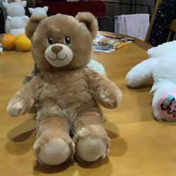 Build A Bear Lil Cub Brownie