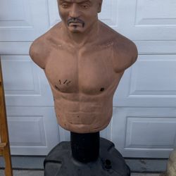 Century Martial Arts  Freestanding Punching Bag