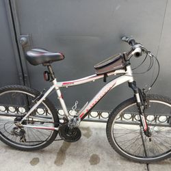 Schwiin Mountain Bike