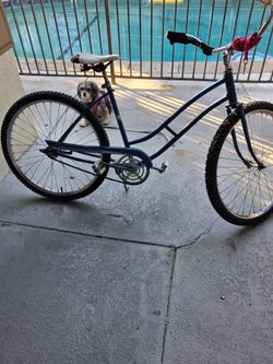 1960  Sears Beach Cruiser
