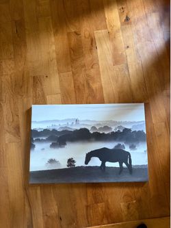 Beautiful horse painting
