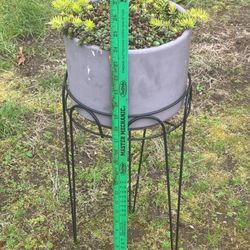 Sedums And Succulents In Brown Resin Pot On Black Metal Plant Stand