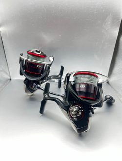 Daiwa fuegos