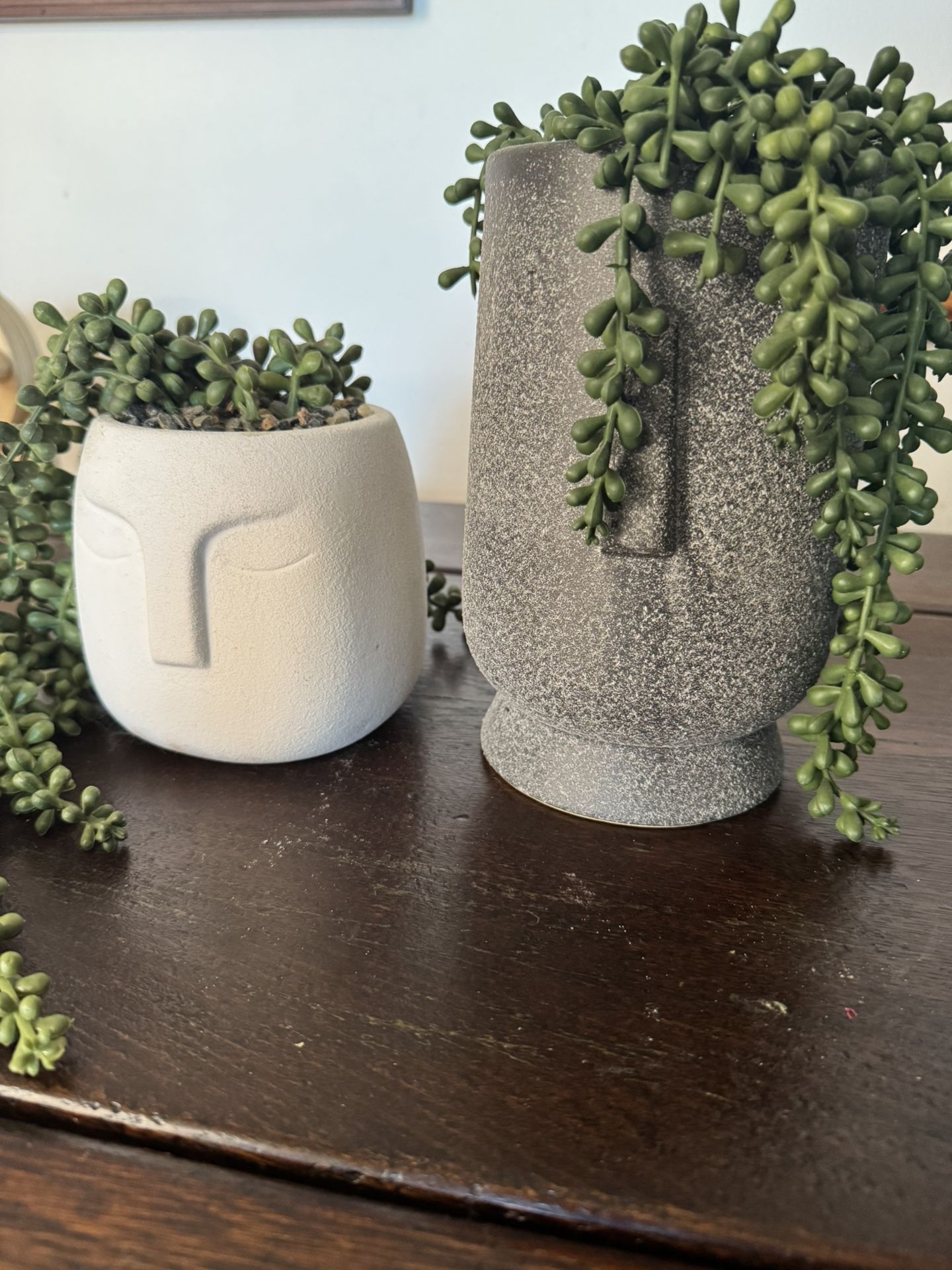Decorative plants, Plant Pots