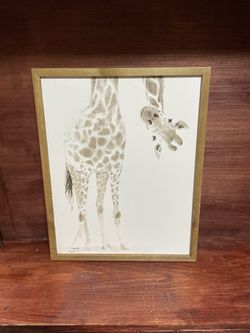 Giraffe Picture
