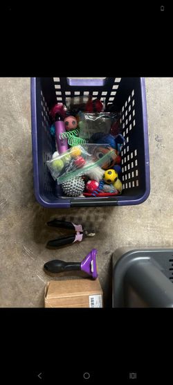 Cat toys and bundle