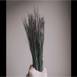 Grass Steams