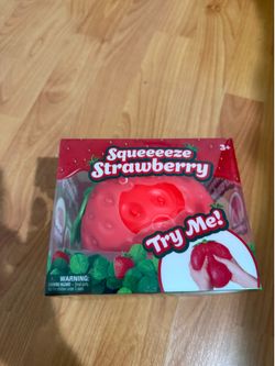Strawberry Squishy