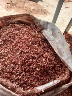 Cedar shavings 35 gallons bags