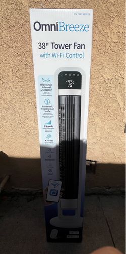 Fan