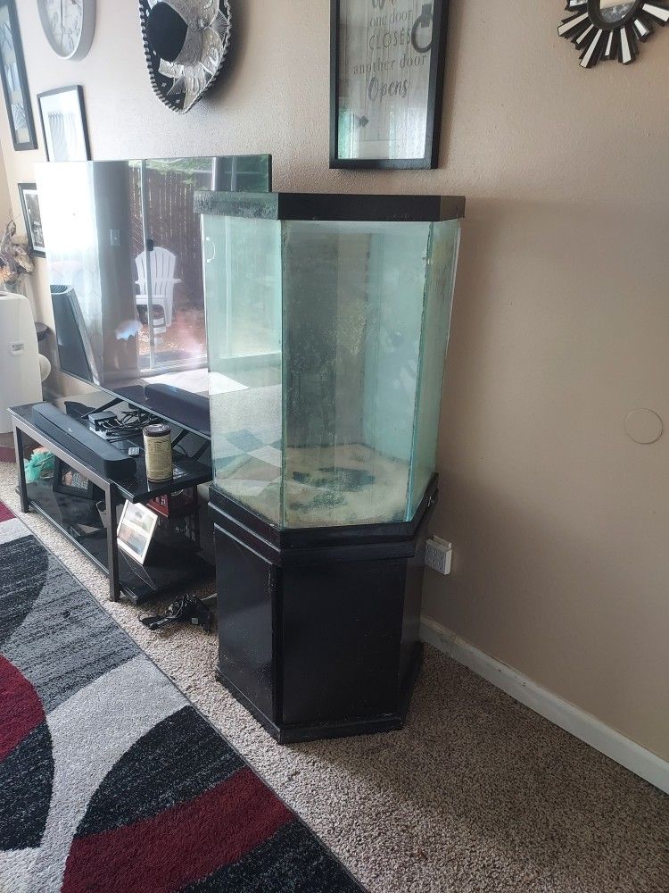 Fish Tank 