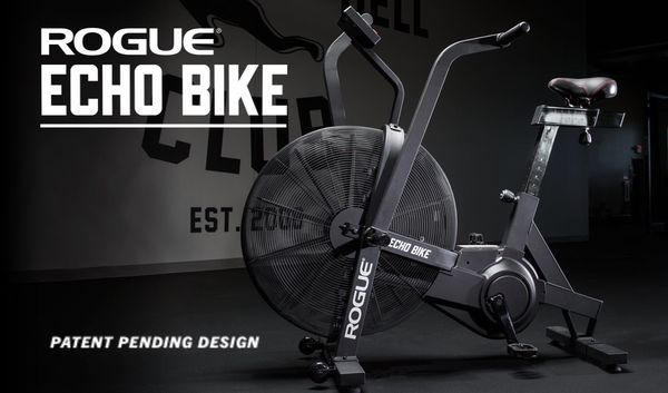 rogue echo fitness bike