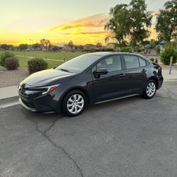 2023 Corolla Hybrid 