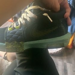 Nike Air And Lerbons 