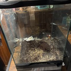 Reptile Terrarium Tank