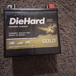 DieHardp Power Ahead Ready To Use