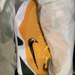 Kobe ix elite low em protro gold custom