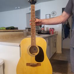 Rogue Acoustic Guitar