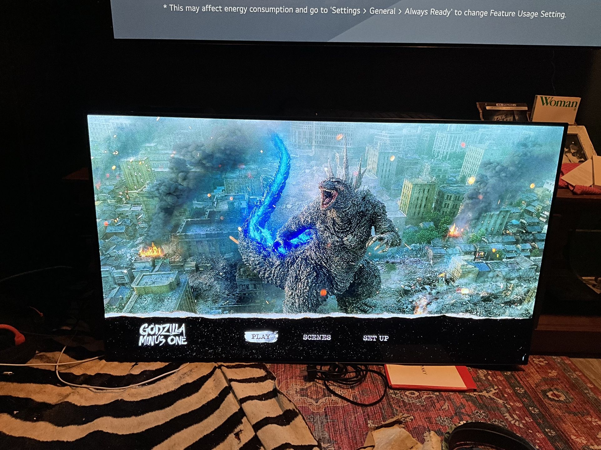 LG CX 48” OLED TV