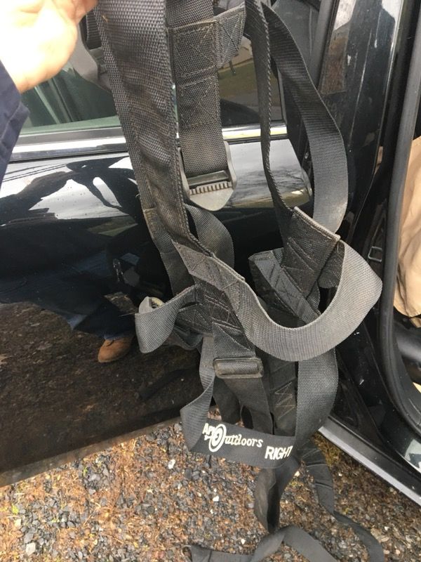 Safety harness
