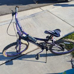 Girls Inspire Purple Bike