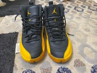 Air Jordan 12 retro