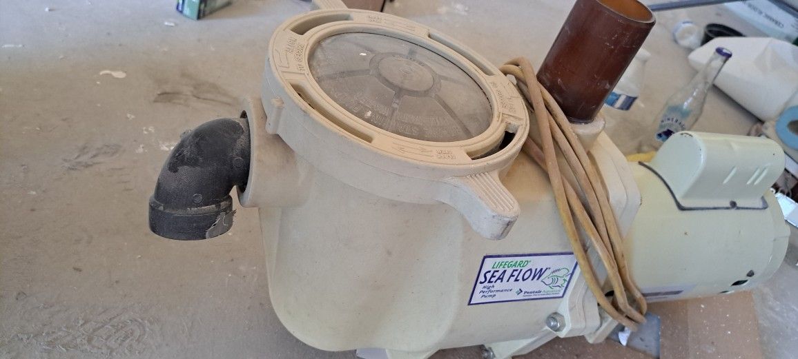 Pool Pump Motor