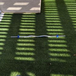 Standard EZ Curl Bar – 1" Plates