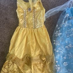 Princess Costumes 