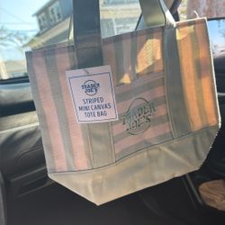 trader joes stiped mini canvas tote bag