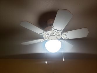 30 Inch Ceiling Fan 