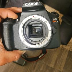 Canon Camera 
