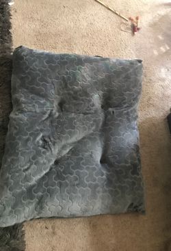 Pet bed