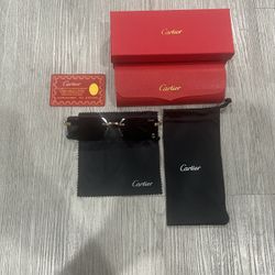Cartier Sunglasses