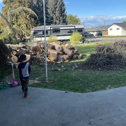Wood (free)