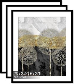 Fxojyvo 20x24 Picture Frame Set of 3 Black