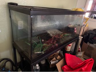 75 gallon tank and stand