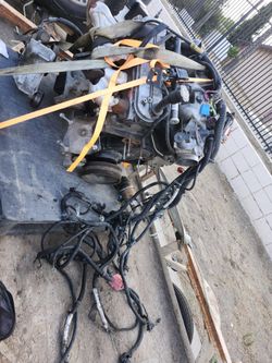 5.3 Ls