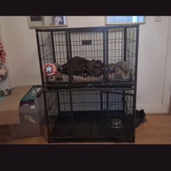 Double Stack Heavy Duty Dog Crate