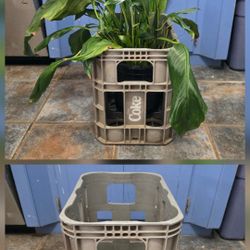 Vintage Collectible Coke Crate - Great for Storage & Decor