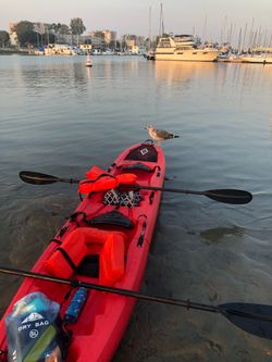 Point 65 Falcon Tandem Modular Kayak