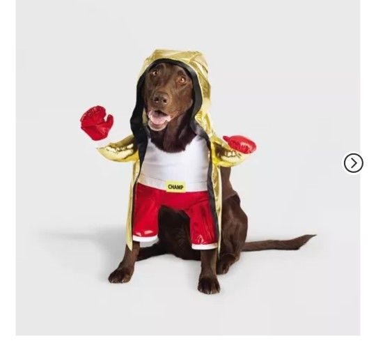 Dog The Champ Costume Size Medium