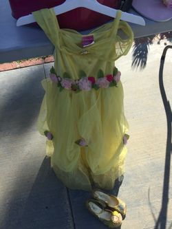 Various Disney princess costumes from Disney store, $30 each