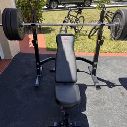 Rogue Plates/ Body Champ Bench & Weight Rack