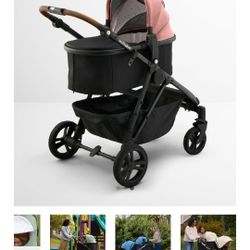 Mockingbird Bassinet 