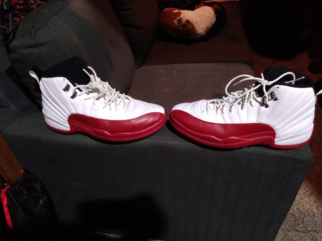 Jordan Retro CherryHill Limited Size 12 shoes