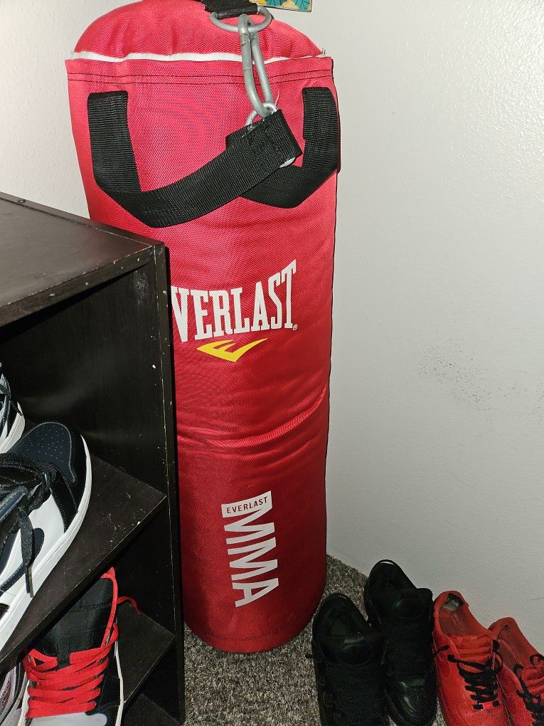 Everlast Mma Punching Bag