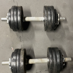 Dumbbells        65 dollars